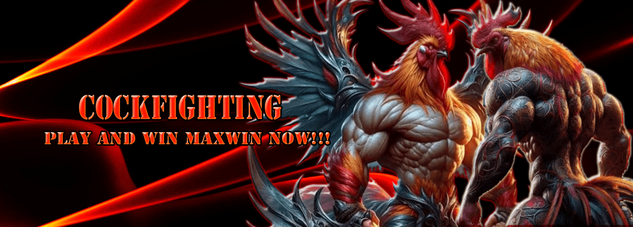 Taruhan Cockfight
